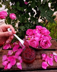 مربا گل محمدی