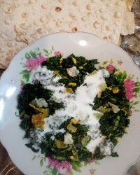 غذای برگ چغندر