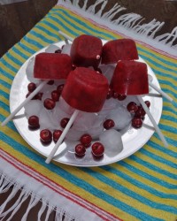 اسکموی آلبالو (اسکمو شمالی)