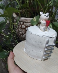 مینی کیک عریان??