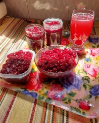 شربت ومربای آلبالو