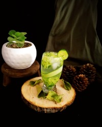 شربت خیار سکنجبین