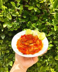 خوراک تن ماهی