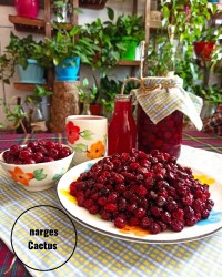 محصولات آلبالویی