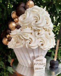 باگر کیک زیبامون