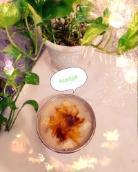 خوشمزه پزون