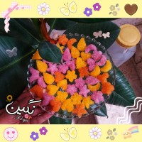 ៵ق‍ ن‍ د ت‍ زئ‍ ی‍ نی ق‍ ن‍ در رن‍ گ‍ ی៵