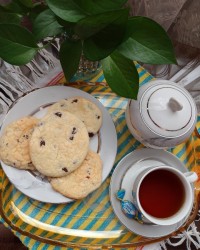 شیرینی کشمشی و گردویی