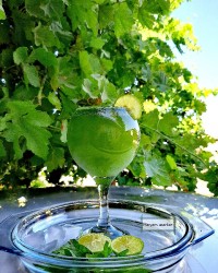 موهیتو کافی شاپی