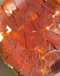 سلام گلای پاپیونی