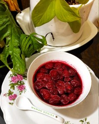 ترشک آلبالو