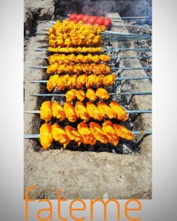 جوجه کباب در طبیعت ورق بزنید عزیزان