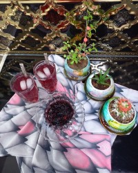 شربت و مربا شاتوت??