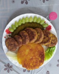 شامی تن ماهی