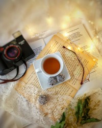 یارِ مهربانم