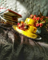 پاناکوتا زعفرانی چالش_عکس_کتاب