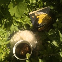 چالش_عکس_کتاب