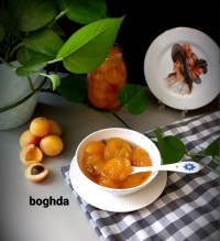 مربا زردالو