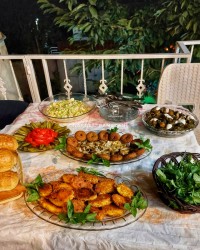 شامی و دلمه وکتلت مرغ