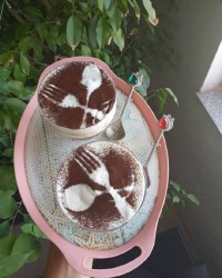 تیرامیسو تک نفره