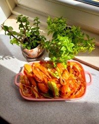 ناهارونه خونه خواهری جامبو شلز