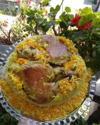 مرغ ته انداز