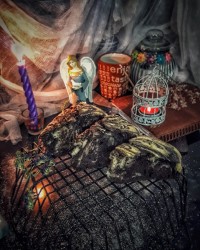 کیک زبرا پنبه ای