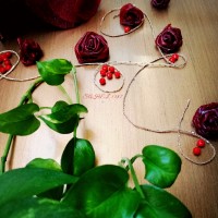 لواشک الو قرمز SAHEL