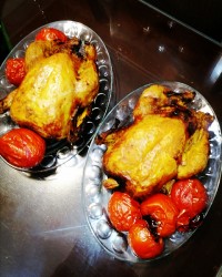 جوجه شکم پر