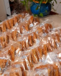 نذر حضرت ابوالفضل العباس علیه السلام