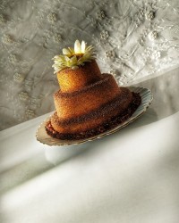 دسر مخملی کاسترد