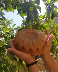 حلوای قالبی