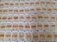 ناهار ظهر عاشورا