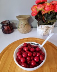 ترشی آلبالو