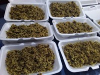 نذری شب شهادت امام سجادع