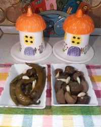 ترشی بادمجان (مهربونا فالو کنید و استوری ها رو از دست ندید)