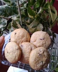 کوکی کشمشی وانیلی