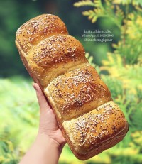نان پنبه ای