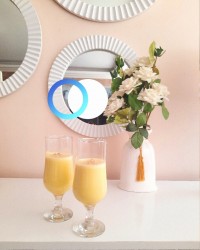 دسر پاناکوتا زعفرانی