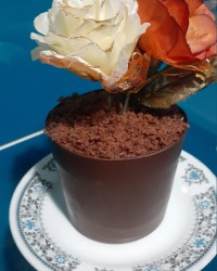 مینی کیک ۵۰۰گرمی گلدونی ???