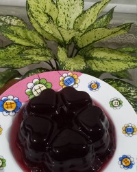 ژله شاتوت❤️