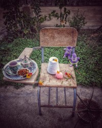 چیپس آلوترش