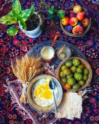 حس ناب زندگی