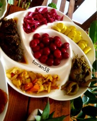 ترشهای خونگی من