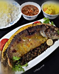 ماهی شکم پر جنوبی