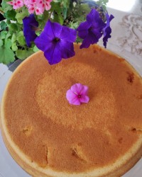 کیک زرد آلو