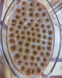 حلوای شیر بسیار عالی وخوشمزه
