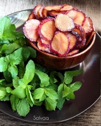 برگه ی آلو شابلون
