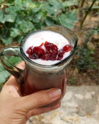 اسموتی آلبالویی
