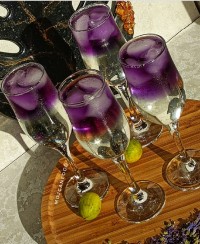 شربت گل پنیرک